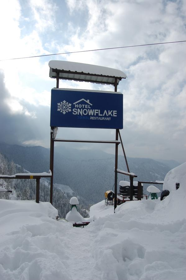Hotel Snowflake Narkanda Luaran gambar